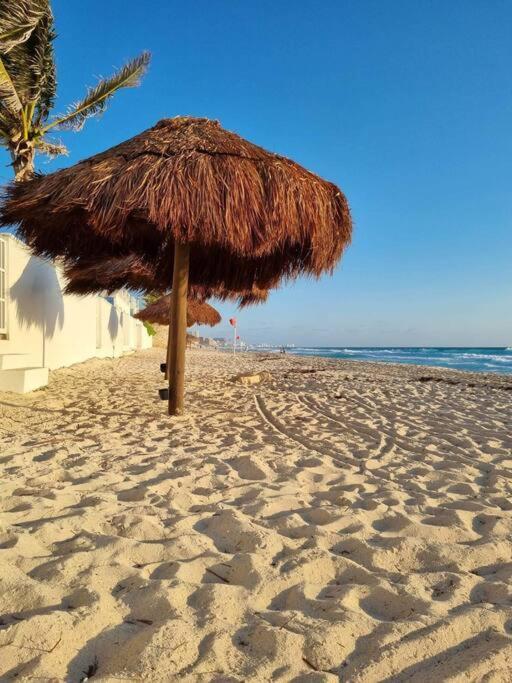 Ocean Turtle Nest, Boutique Apartamento *