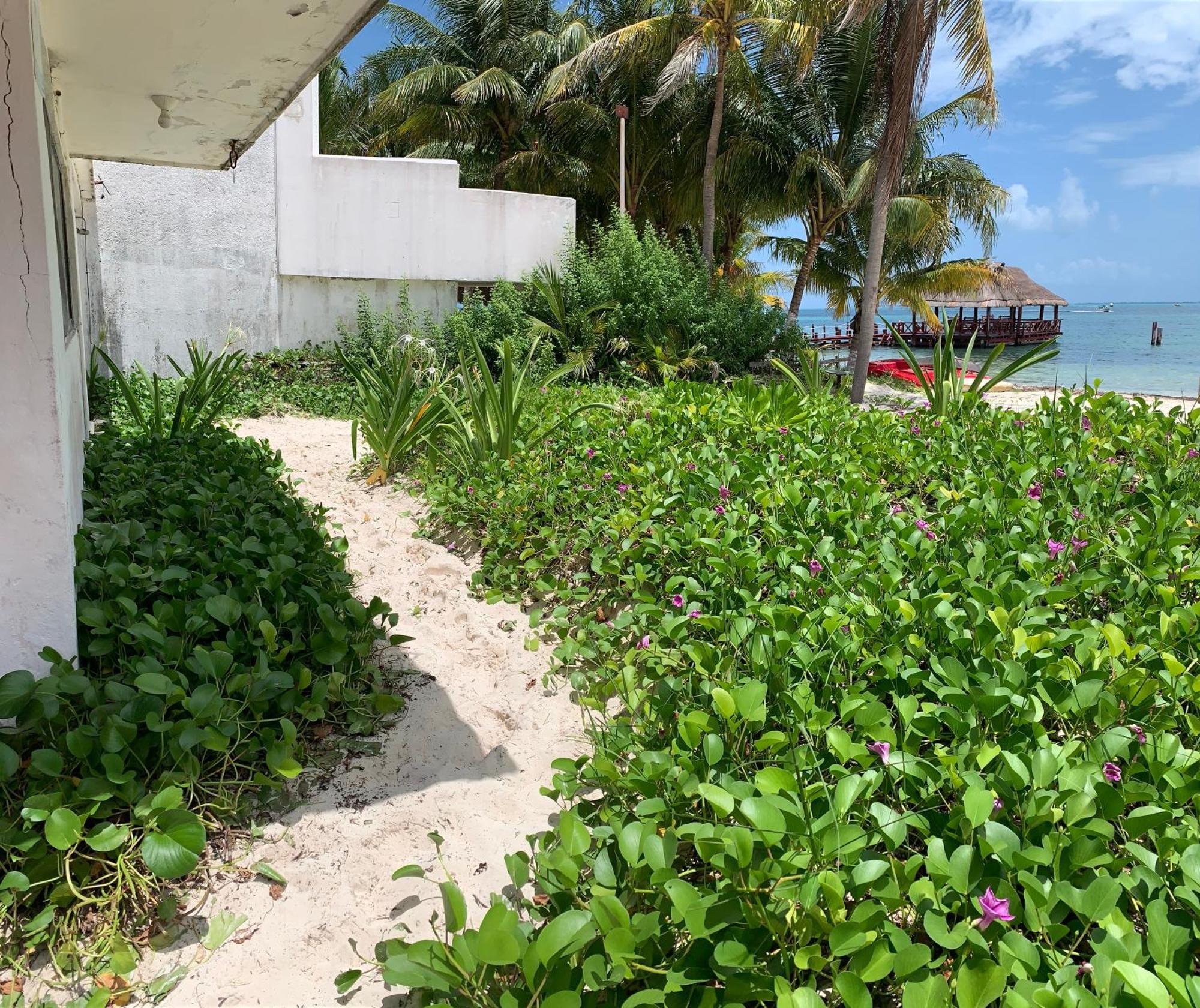 Ocean View Private Habitación en casa particular Cancún