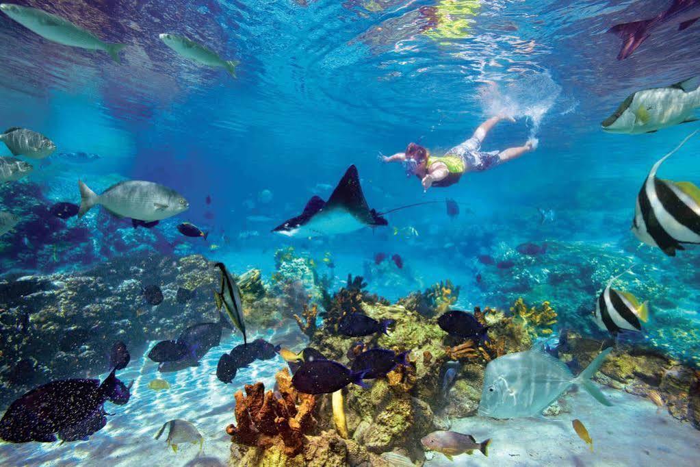 Hotel Arts - Beaches Zone (adults Only) 4*