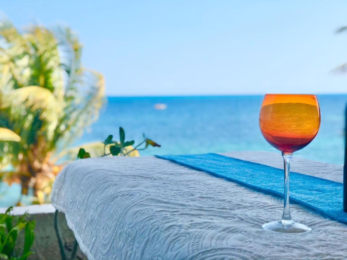 Flamingo Paradise Front By Cielo Maya Cancun