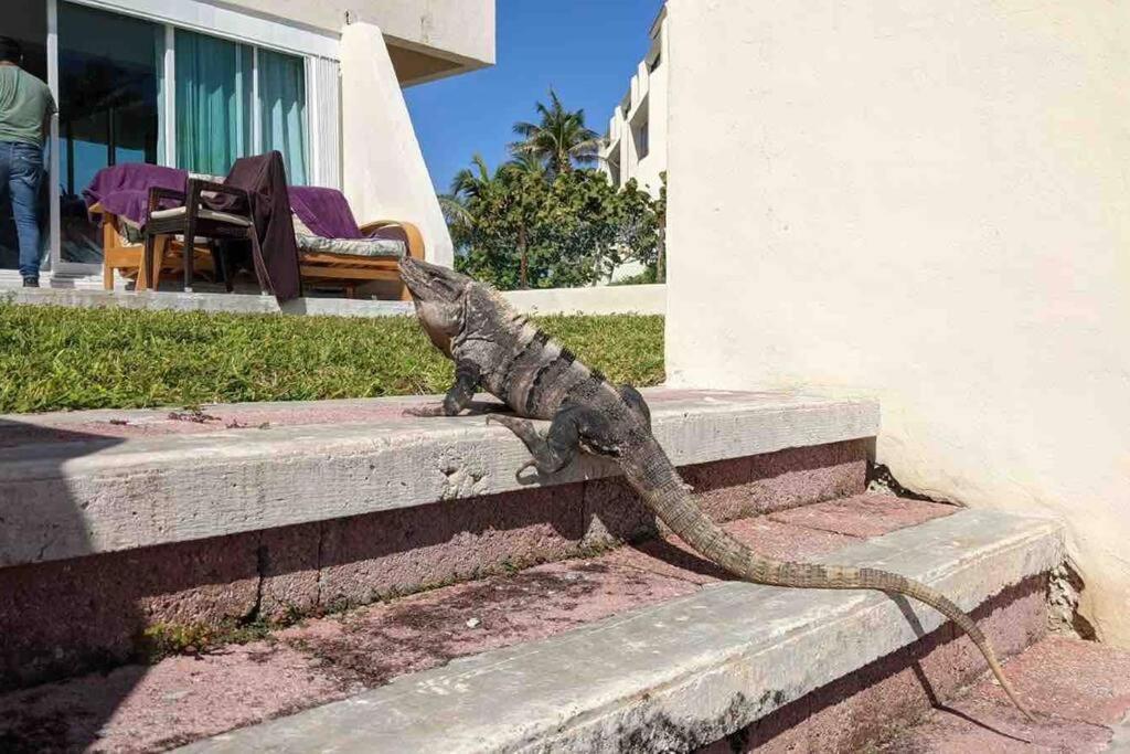 Oceanfront, Entire Apartment Cancun
