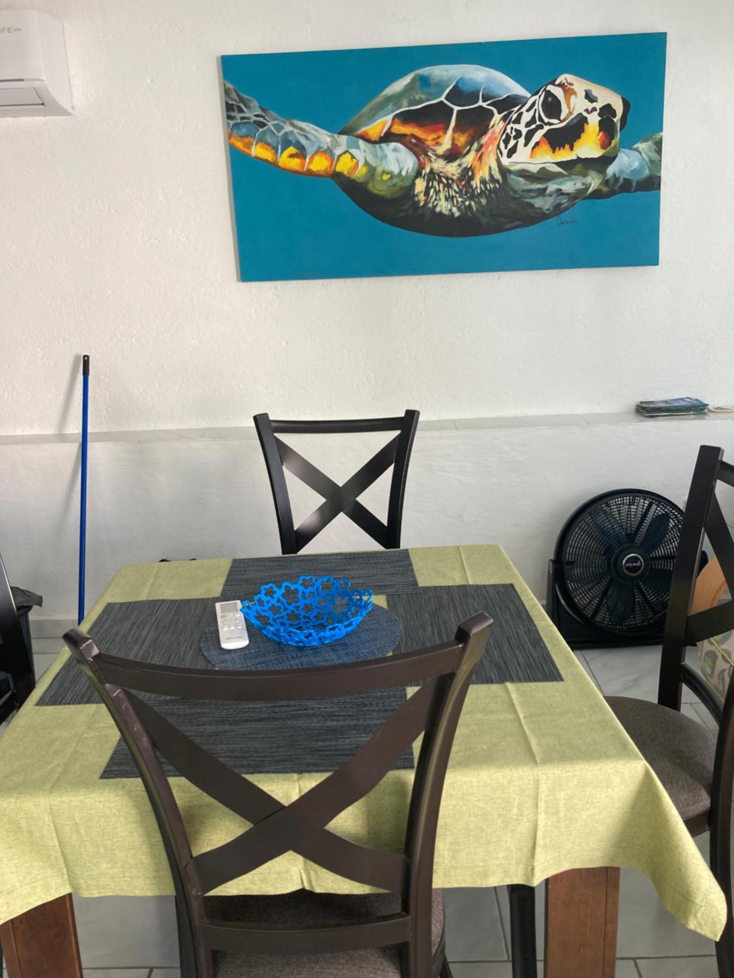 Oceanfront, Entire Apartment *