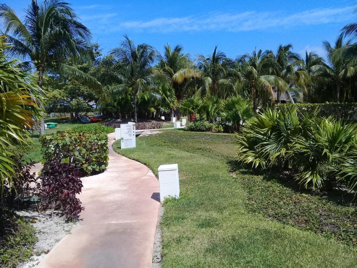 Swim The Caribbean & Work With A View Apartamento