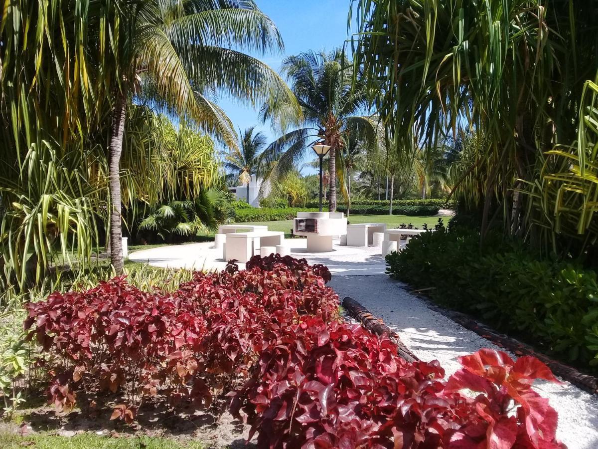 Apartamento Swim The Caribbean & Work With A View