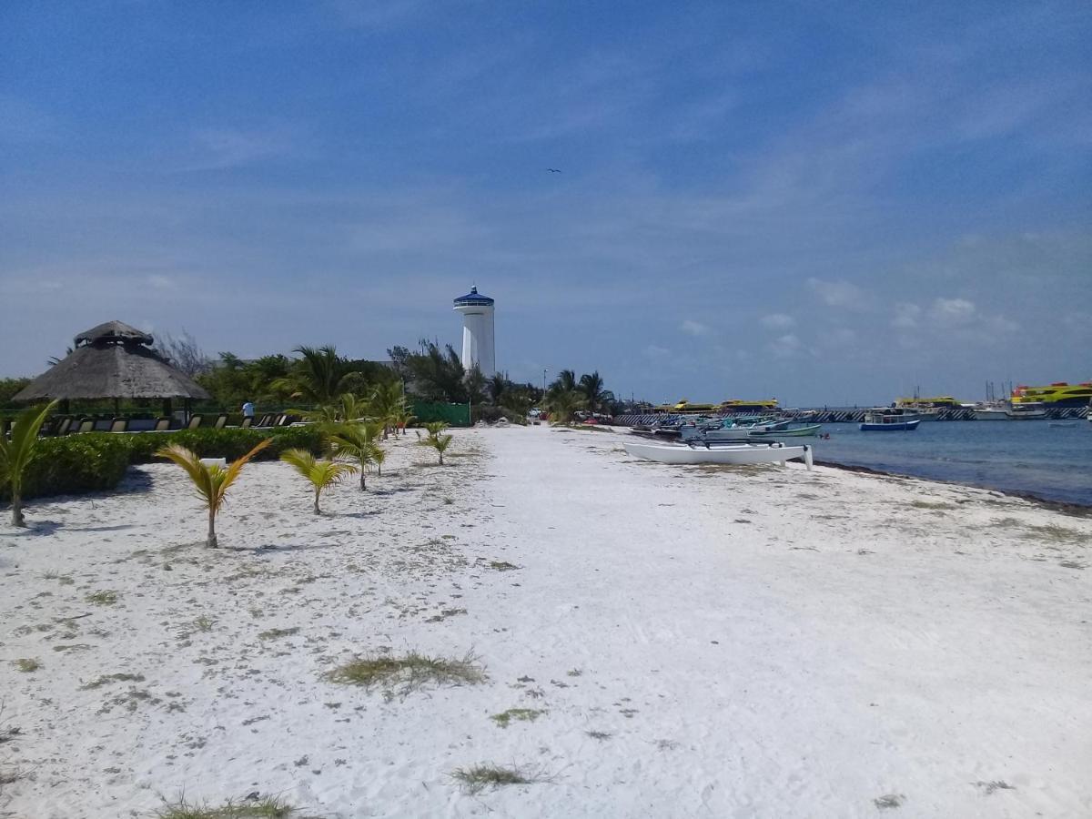 Swim The Caribbean & Work With A View Cancún
