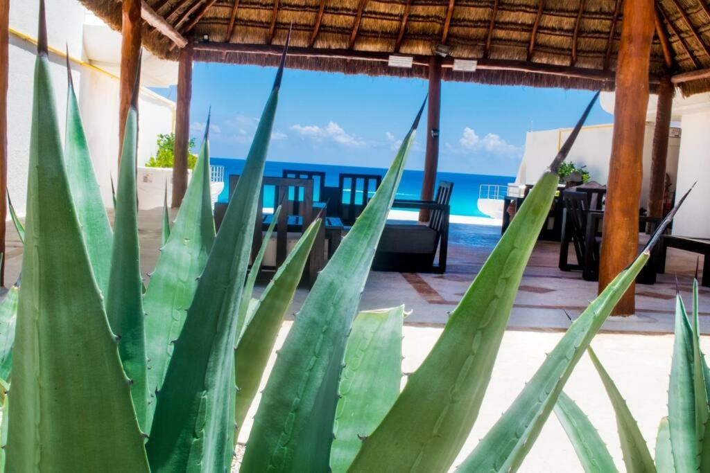 Beachfront Marlin 107 Apartment Cancun