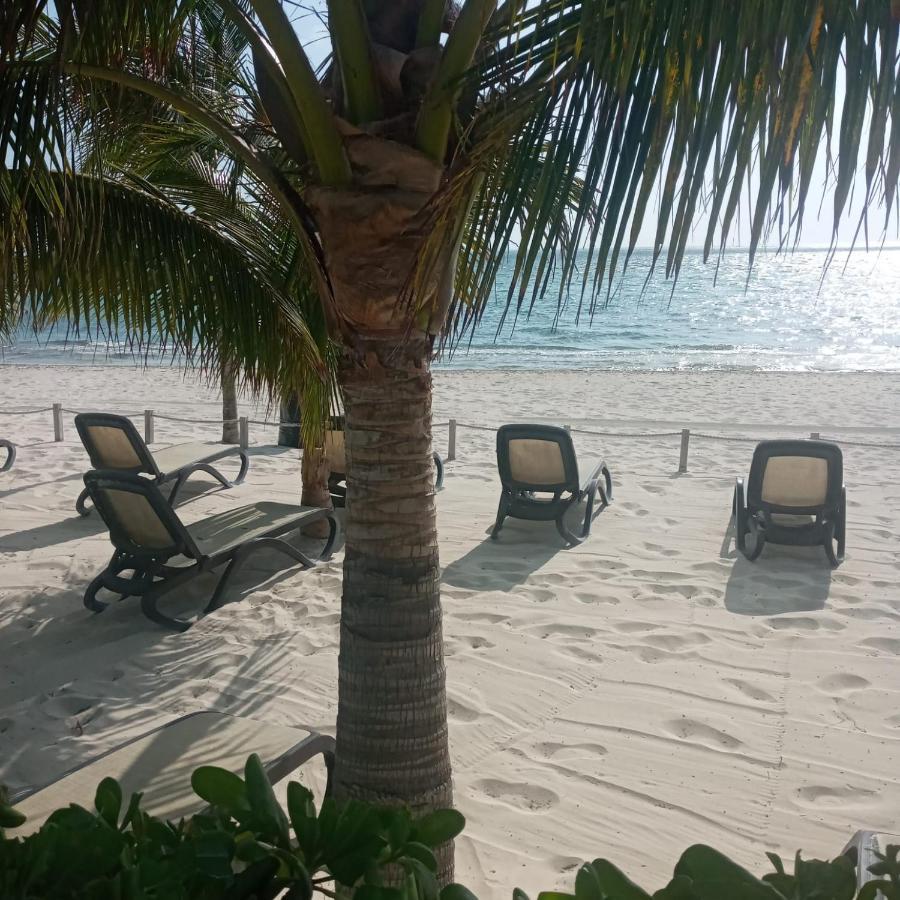 Swim The Caribbean & Work With A View *