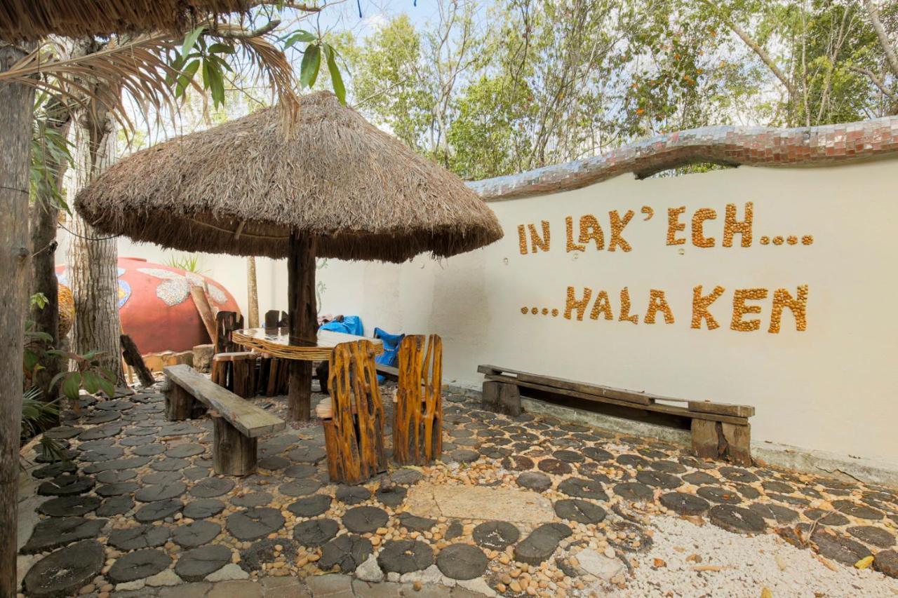 Apartamento Casa Oma - *