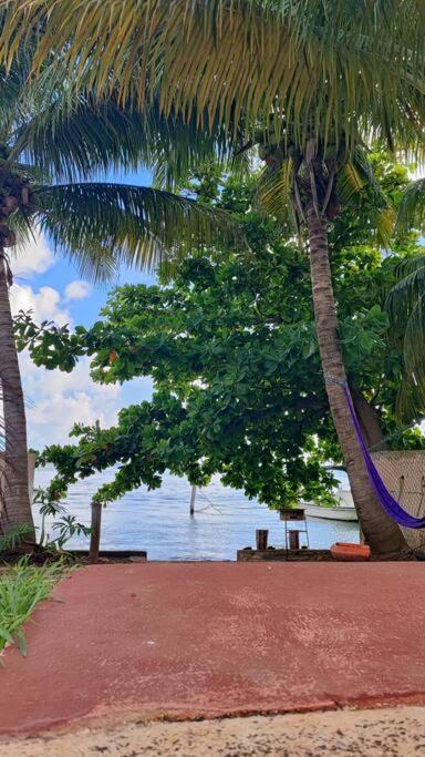 Laguna Cancun, Kayaks Gratis. Cancún