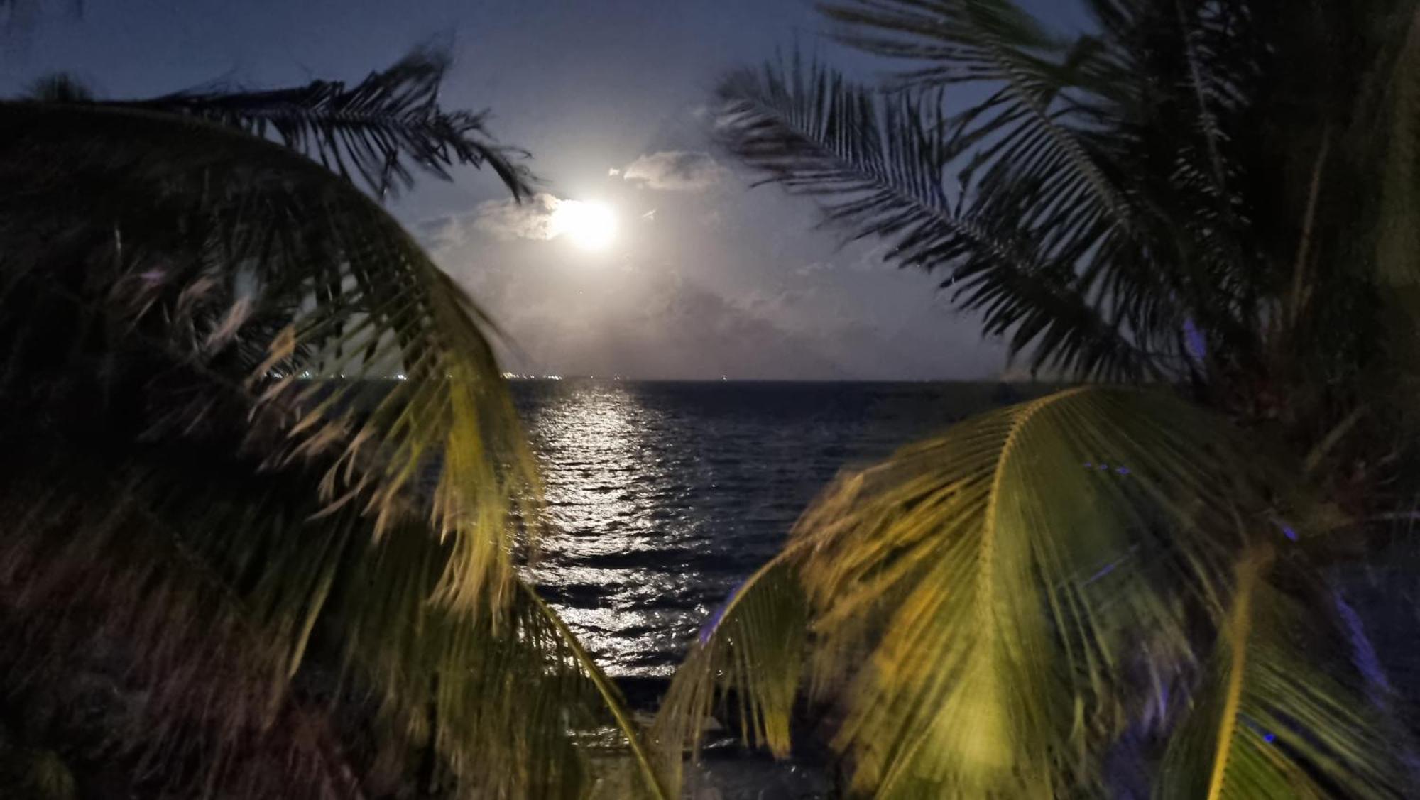 On The - Seaside Sunrise Haven 3 Bedrooms Sea View * Cancún