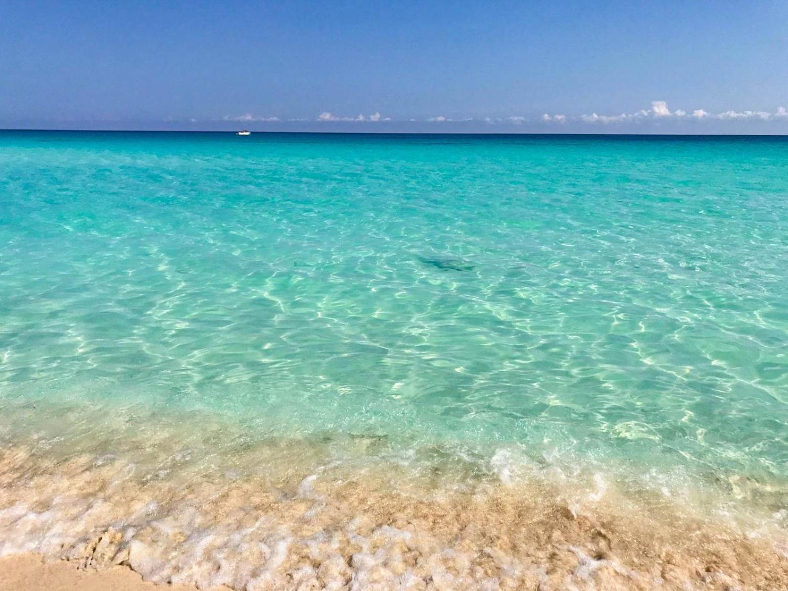 Seashore * Cancun