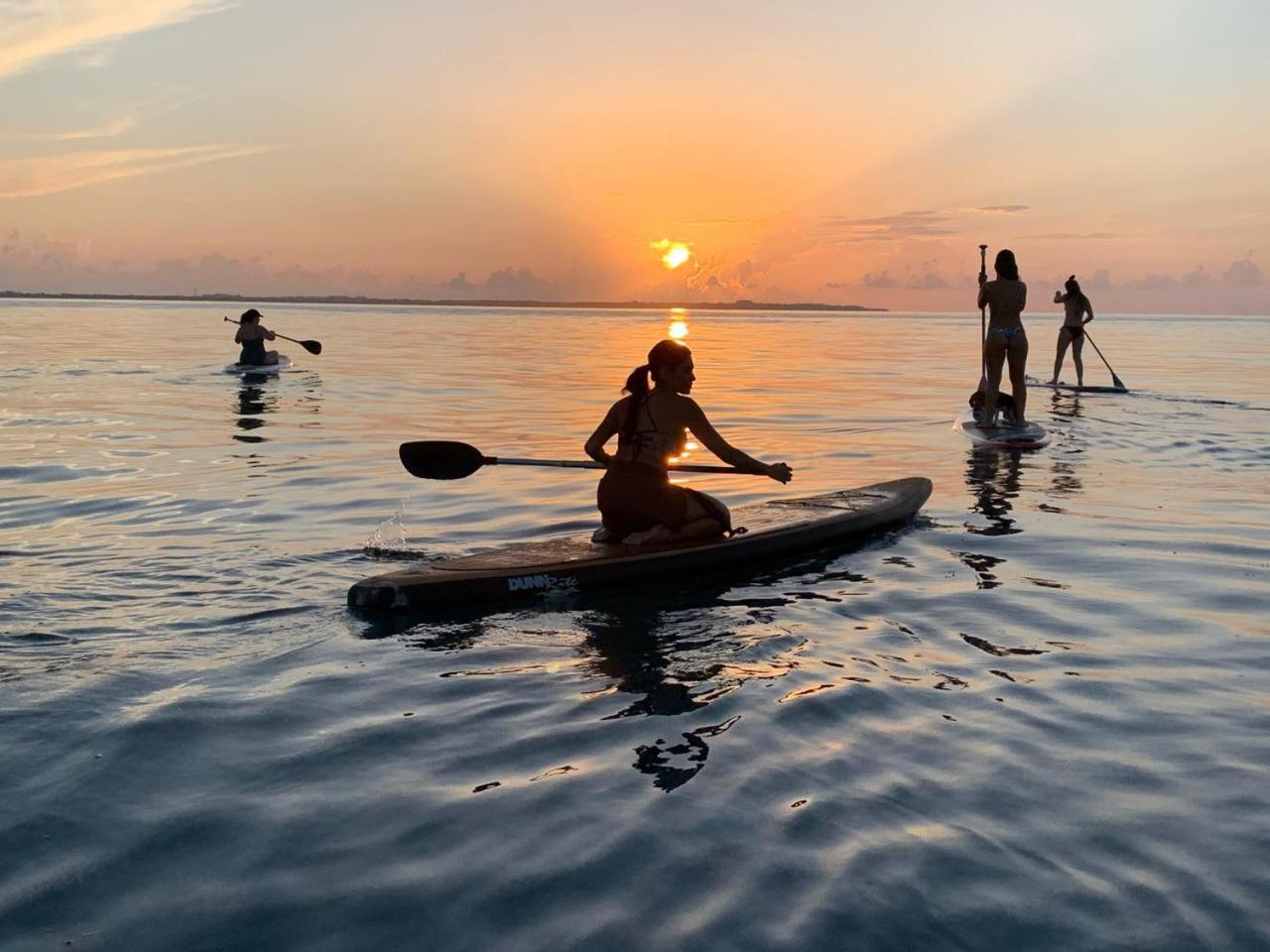 Apartment On The Surfers Sunrise Haven 3 *