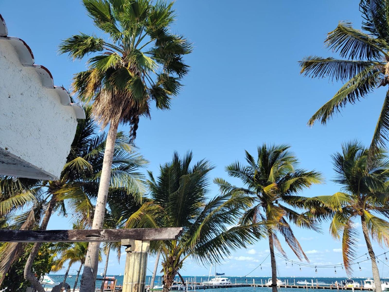 On The Surfers Sunrise Haven 3 Apartment Cancun