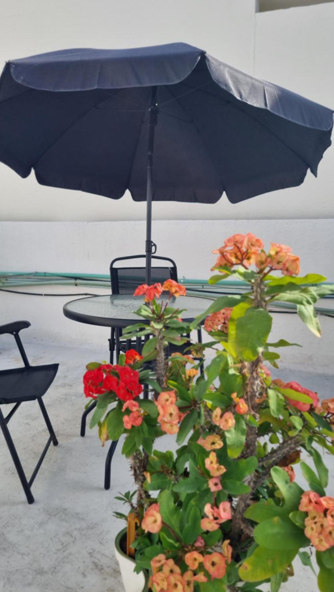 Apartment On The Seaside Sunrise Haven 4 Sea View *