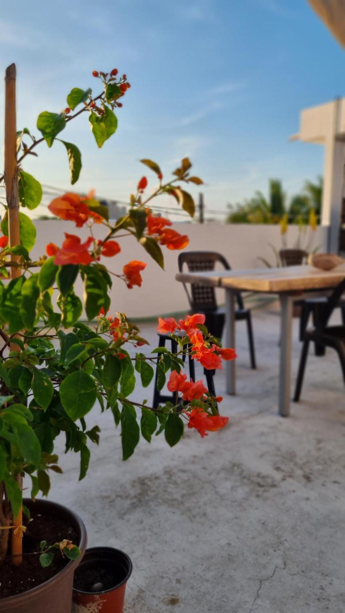 Apartment On The Seaside Sunrise Haven 4 Sea View *