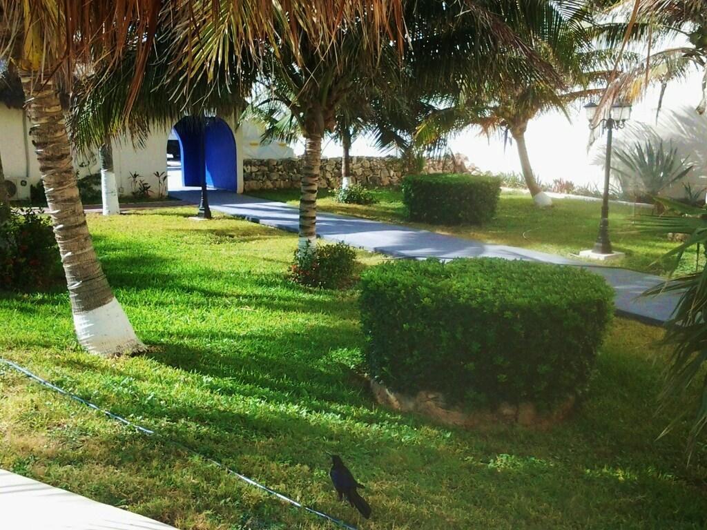 Salvia Apartamento Cancún