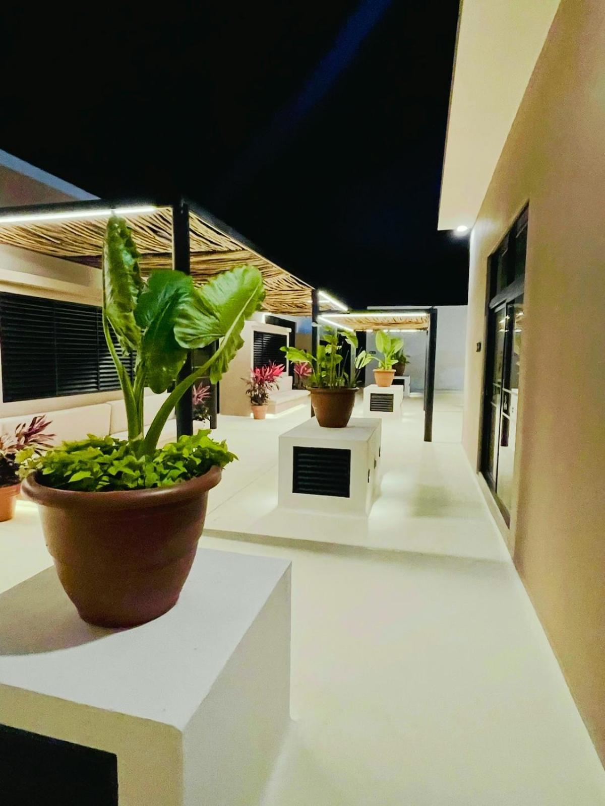 Alma Del Caribe Apartment *
