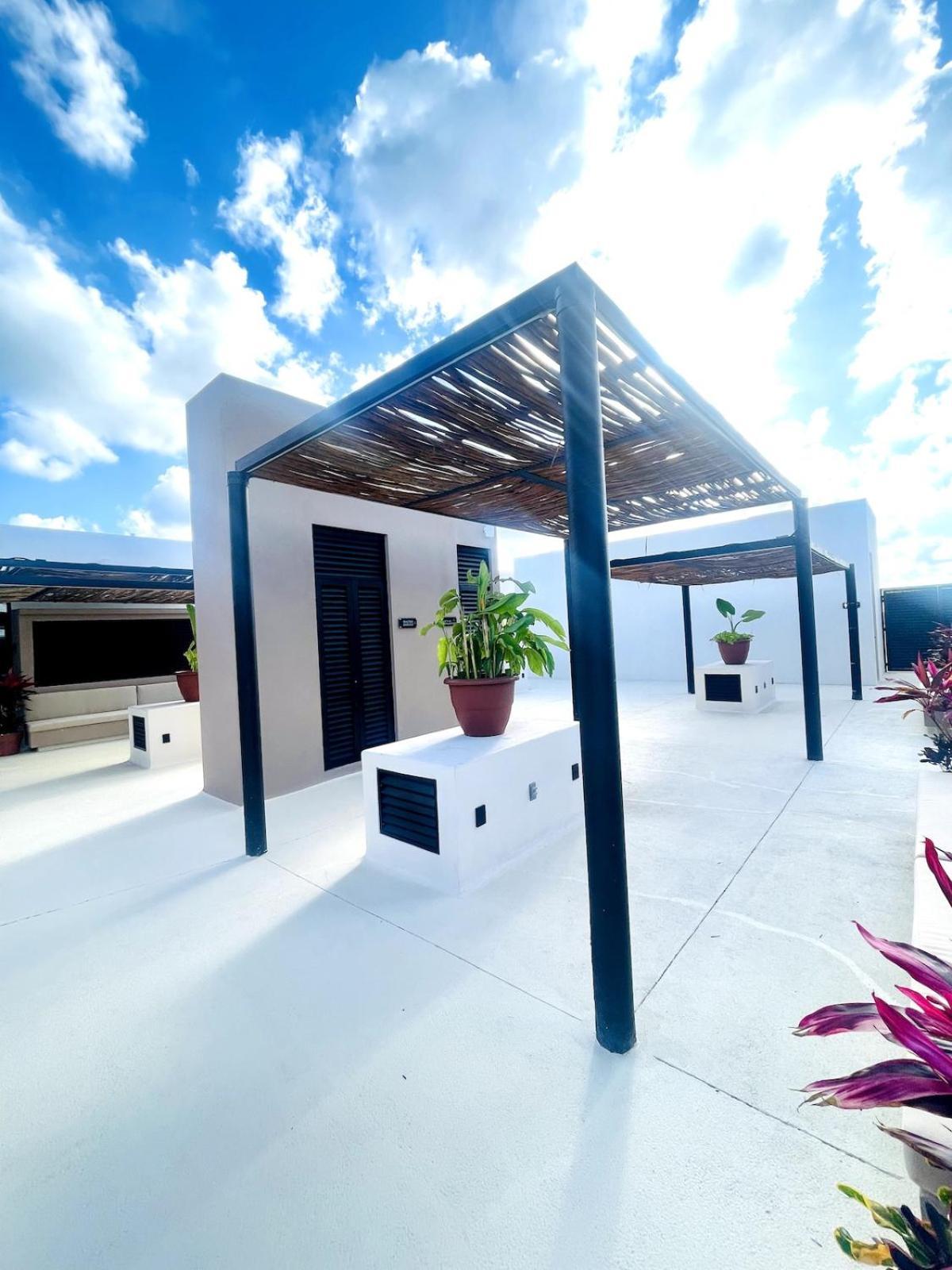 Alma Del Caribe