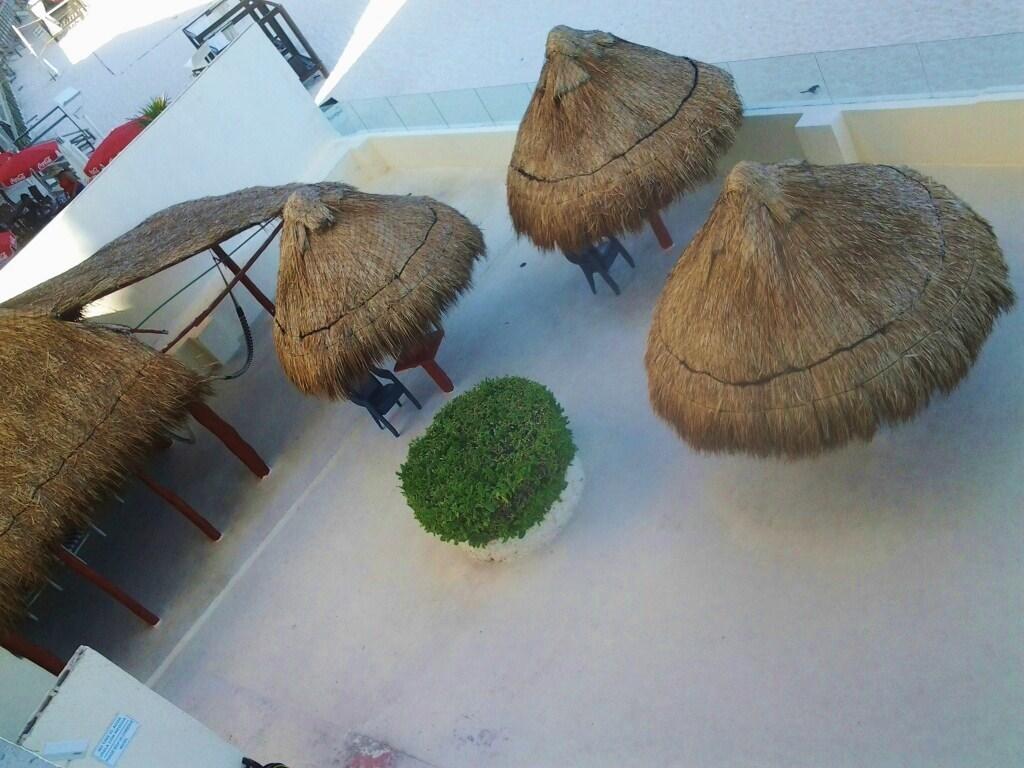 Apartamento Salvia *