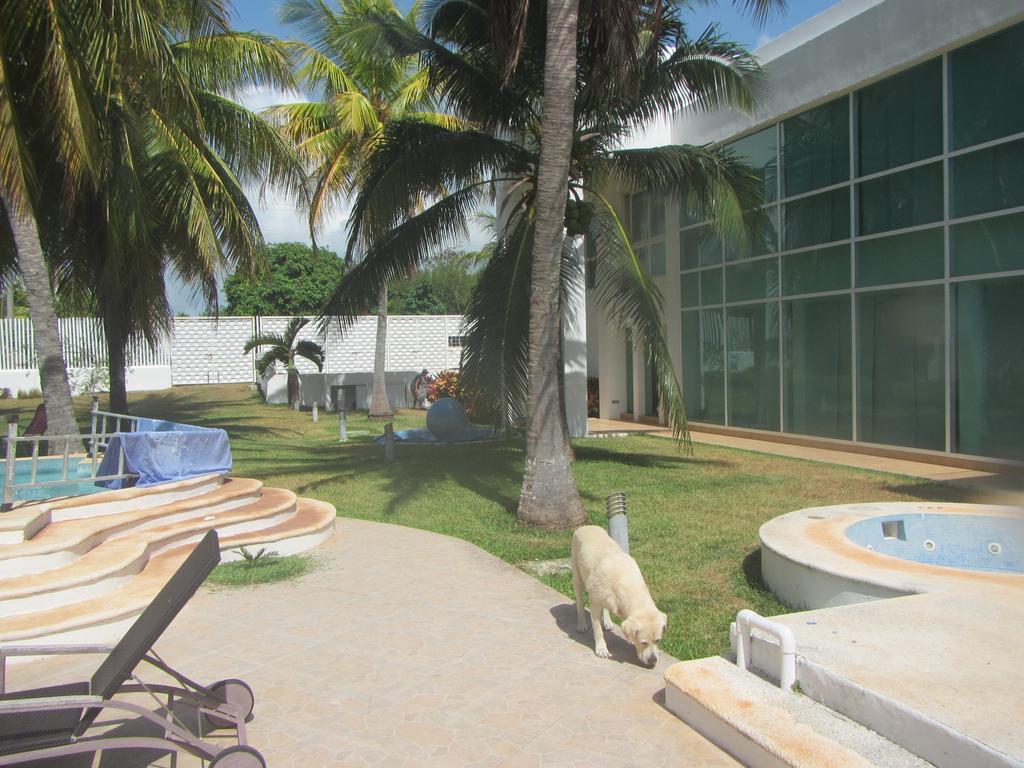 Casablanca Cancun