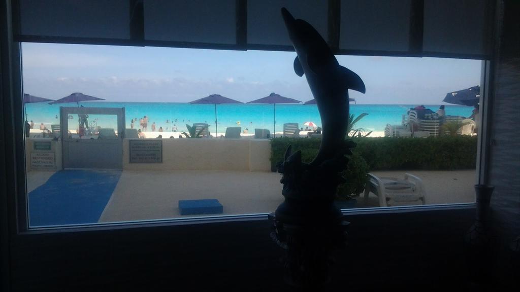 Salvia Cancún