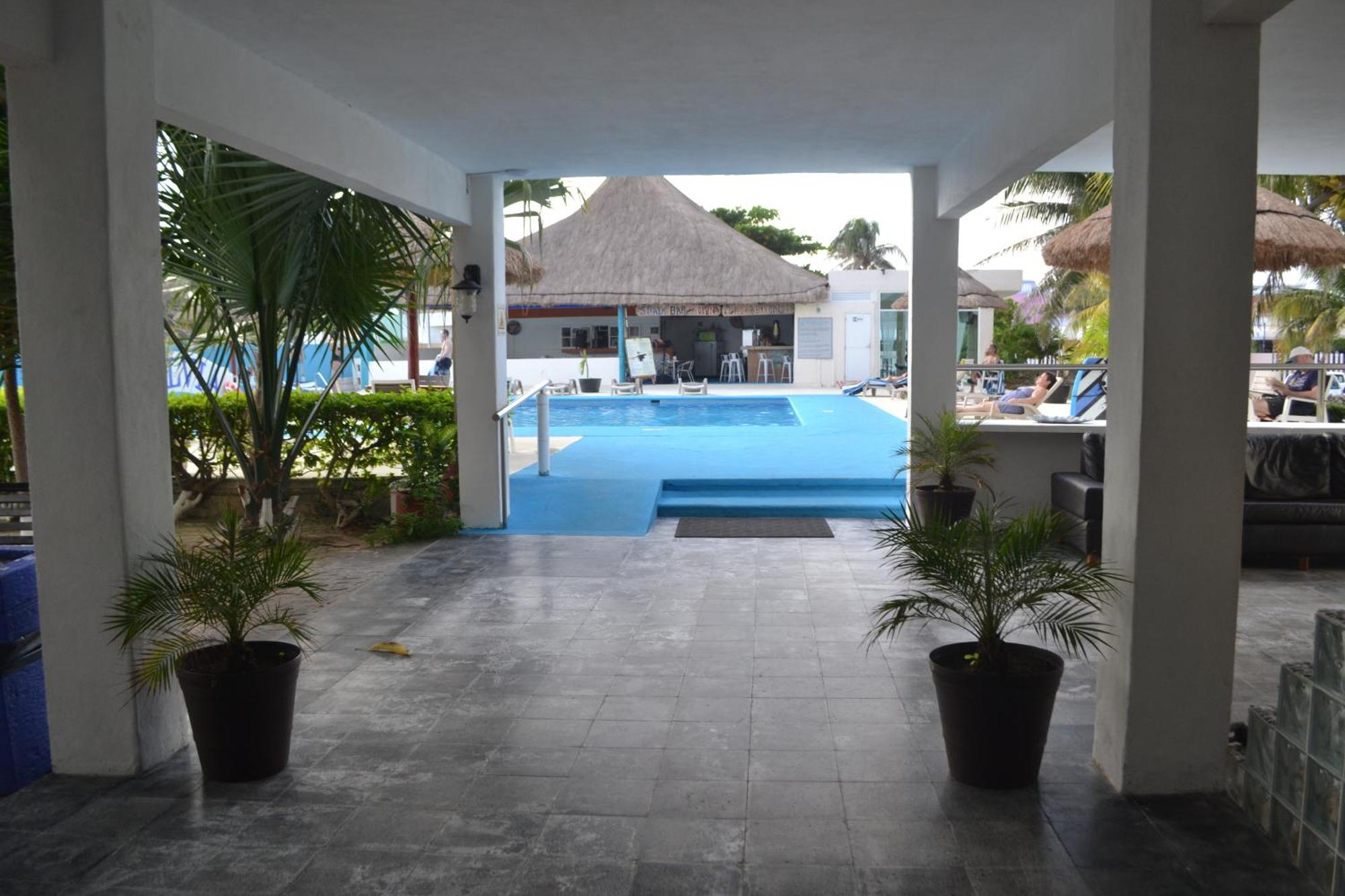 Salvia * Cancún