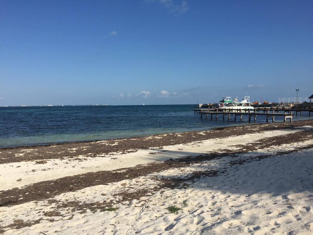 Sea By C (adults Only)
