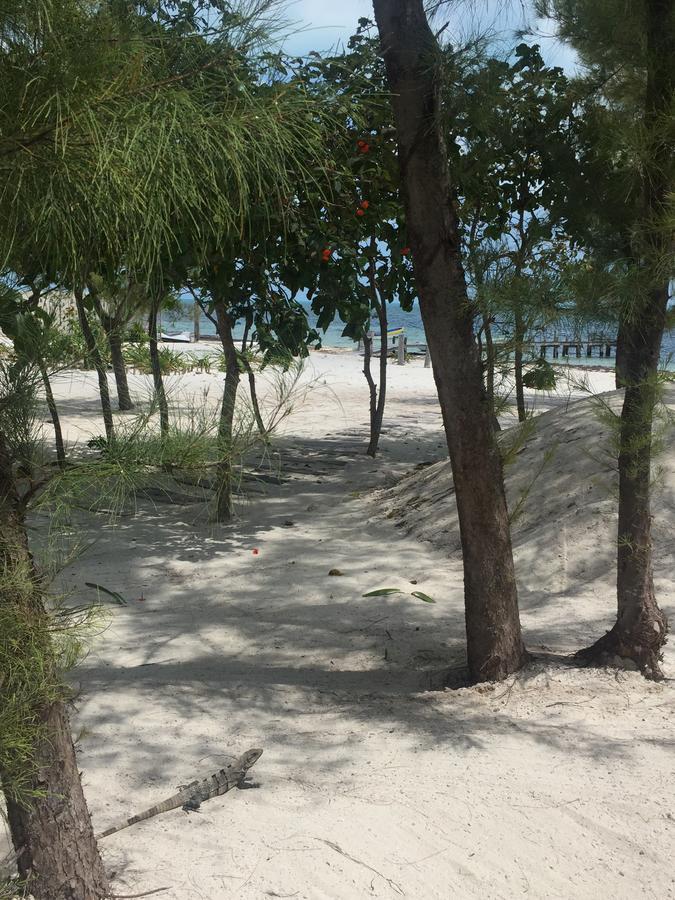 Sea By C (adults Only) Cancún