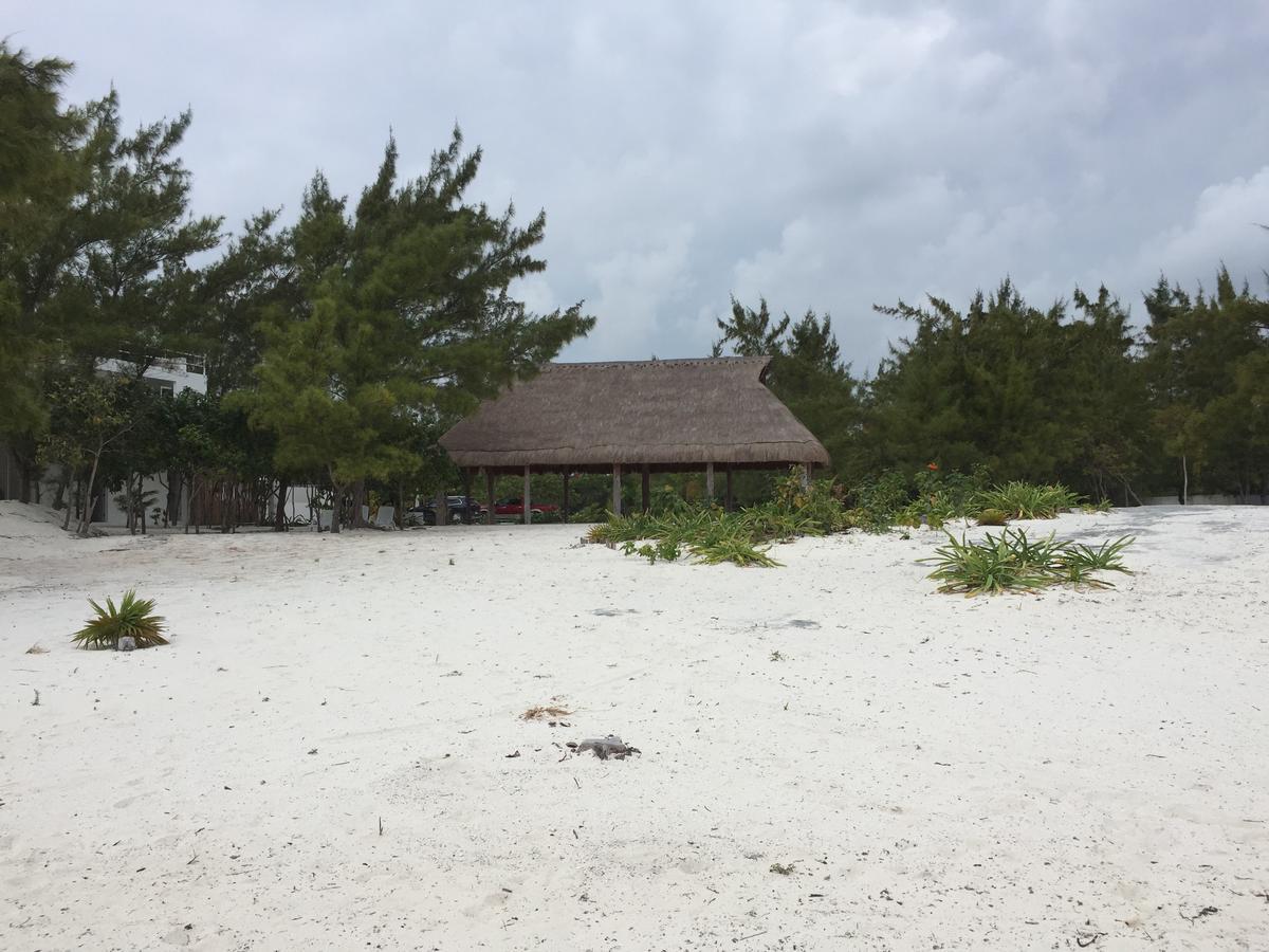 Apartamento Sea By C (adults Only) Cancún