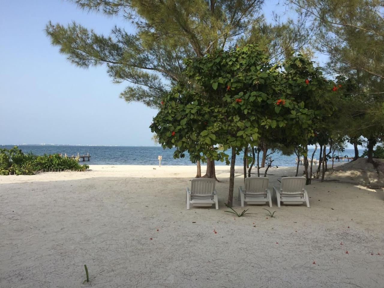 Apartamento Sea By C (adults Only)