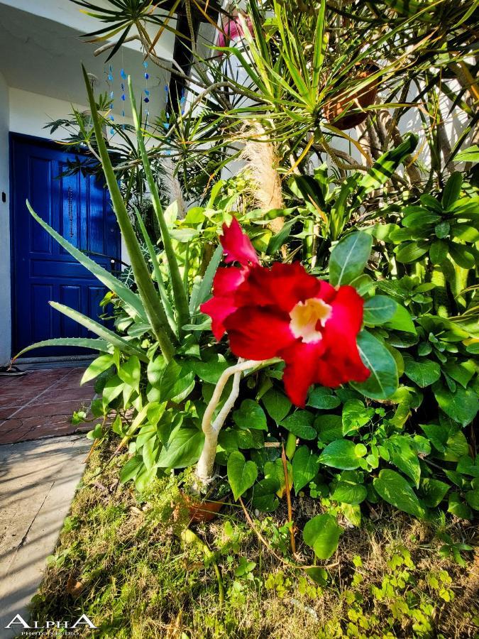 Tu Casa En El Caribe Habitación en casa particular