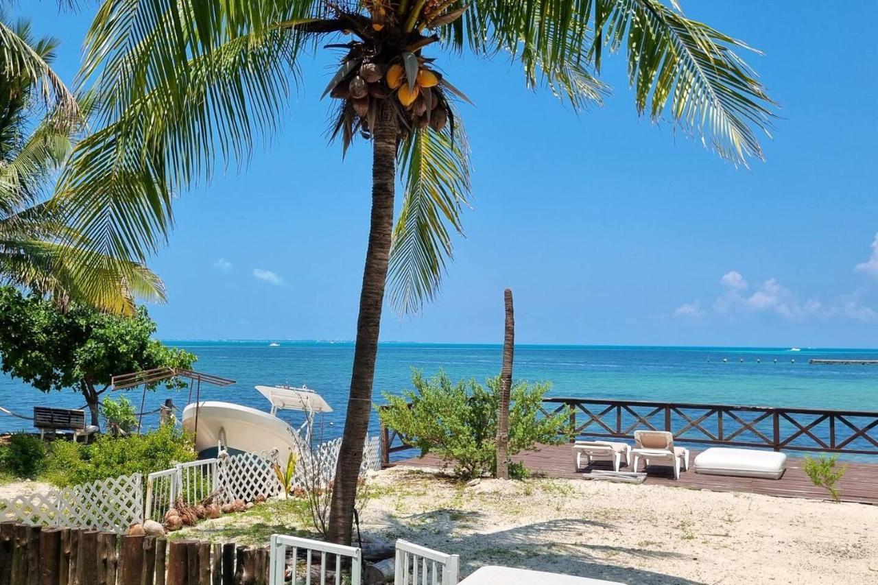 On The 2 - Seaside Sunrise Haven- Sea View Apartment *