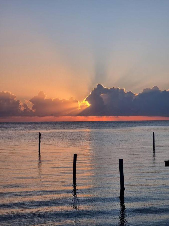 Apartment On The 2 - Seaside Sunrise Haven- Sea View *