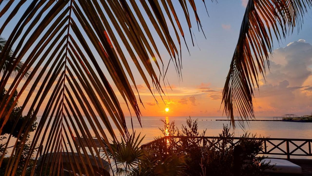 On The 2 - Seaside Sunrise Haven- Sea View * Cancun