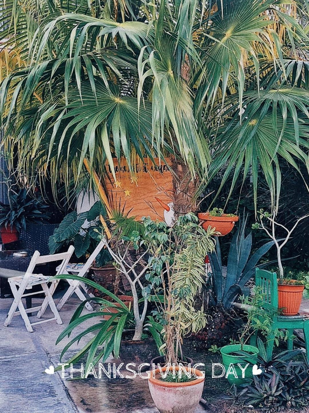 Tu Casa En El Caribe * Cancún