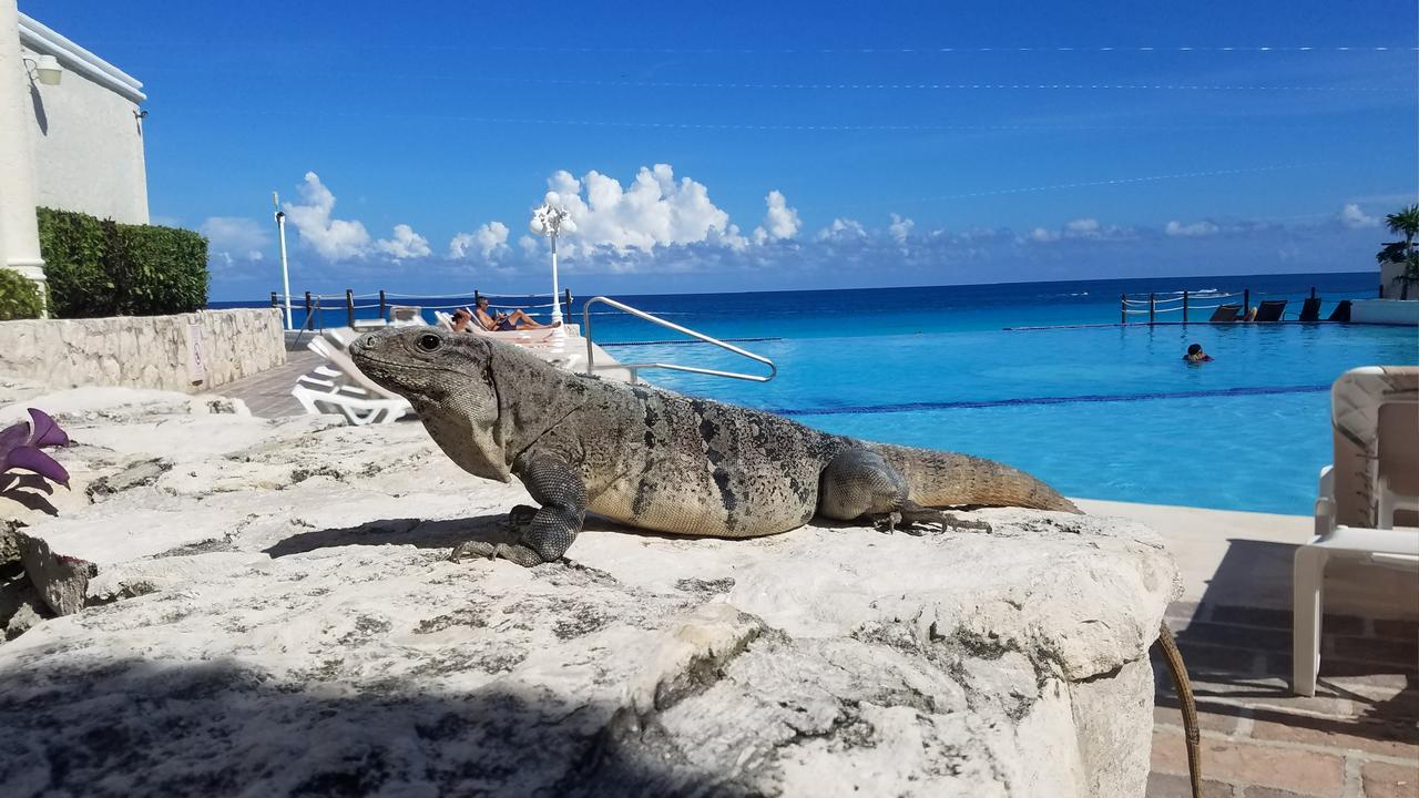 Plaza * Cancun